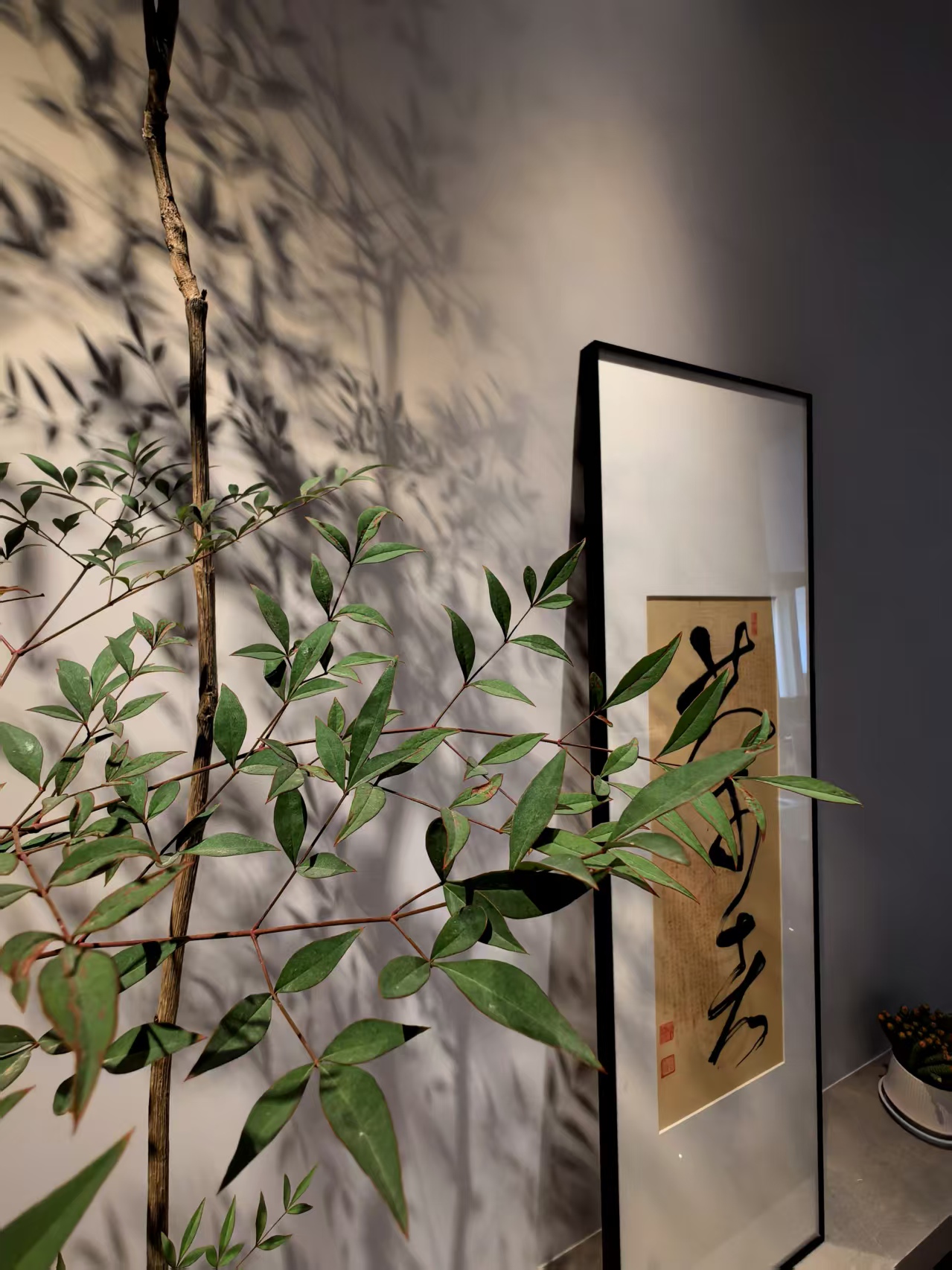 Retractable recessed LED spotlights used for tea house decorative wall lighting